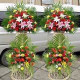 żҽʻԤ